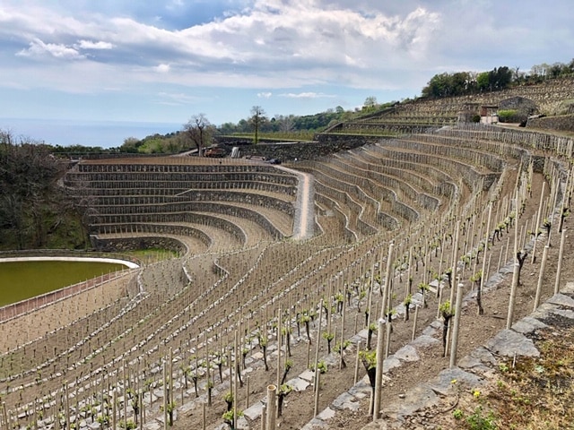 etna wine tour